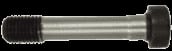 Bolt 16x80 10.9