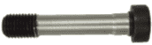 Bolt 16x80 10.9